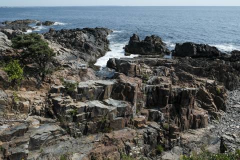 Acadia 2023 - Acadia-1.jpg