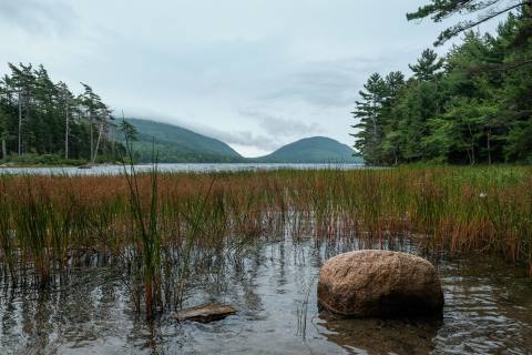 Acadia 2023 - untitled-1977.jpg