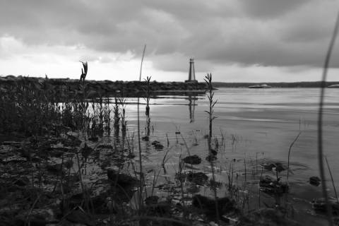 Portfolio - Portfolio-1-5.jpg