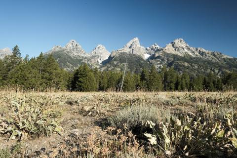 Tetons 2025 - GrandTeton-16.jpg