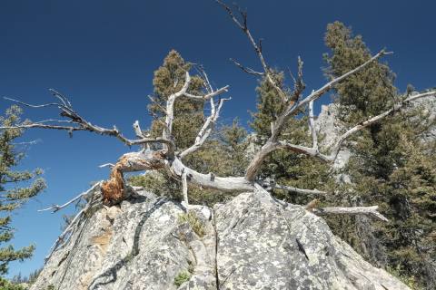 Tetons 2025 - GrandTeton-27.jpg