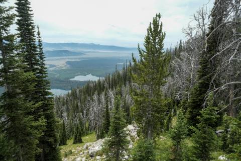 Tetons 2025 - GrandTeton-66.jpg