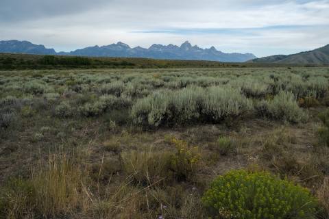 Tetons 2025 - GrandTeton-68.jpg