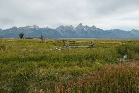 Tetons 2025 - GrandTeton-70.jpg