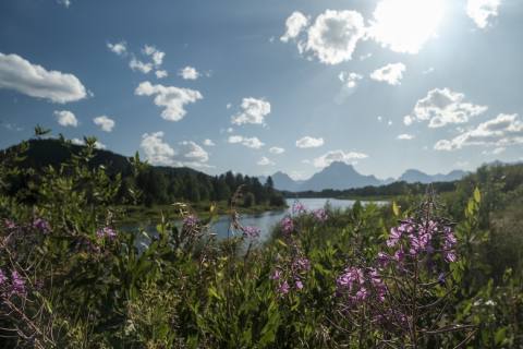 Tetons 2025 - GrandTeton-8.jpg