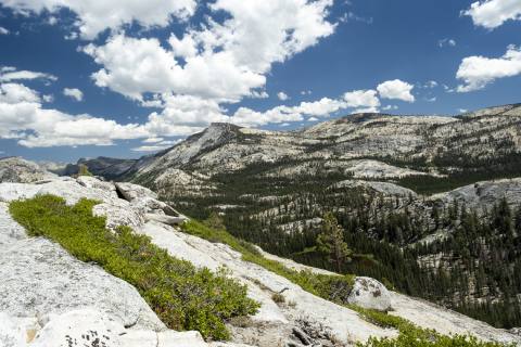 Yosemite 2024 - Yosemite-10.jpg