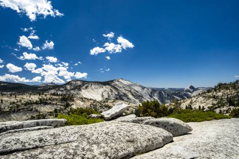 Yosemite 2024 - Yosemite-11.jpg