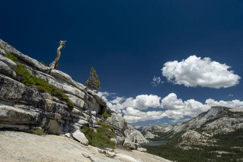 Yosemite 2024 - Yosemite-16.jpg