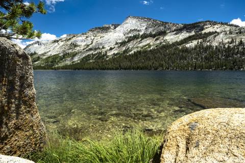 Yosemite 2024 - Yosemite-17.jpg