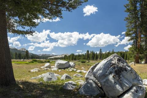 Yosemite 2024 - Yosemite-18.jpg