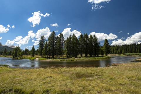 Yosemite 2024 - Yosemite-19.jpg