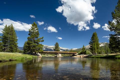 Yosemite 2024 - Yosemite-21.jpg