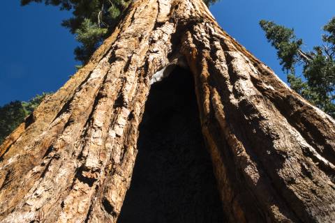 Yosemite 2024 - Yosemite-27.jpg