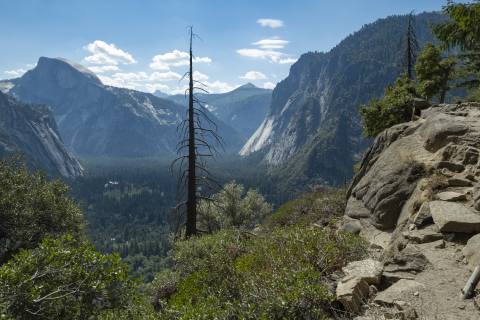 Yosemite 2024 - Yosemite-2.jpg