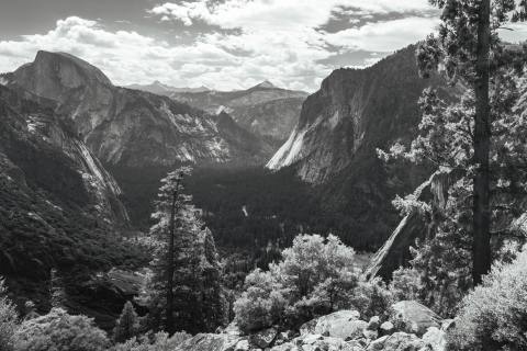 Yosemite 2024 - Yosemite-6.jpg