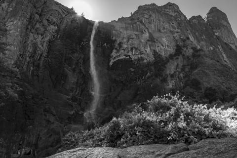 Yosemite 2024 - Yosemite-7.jpg